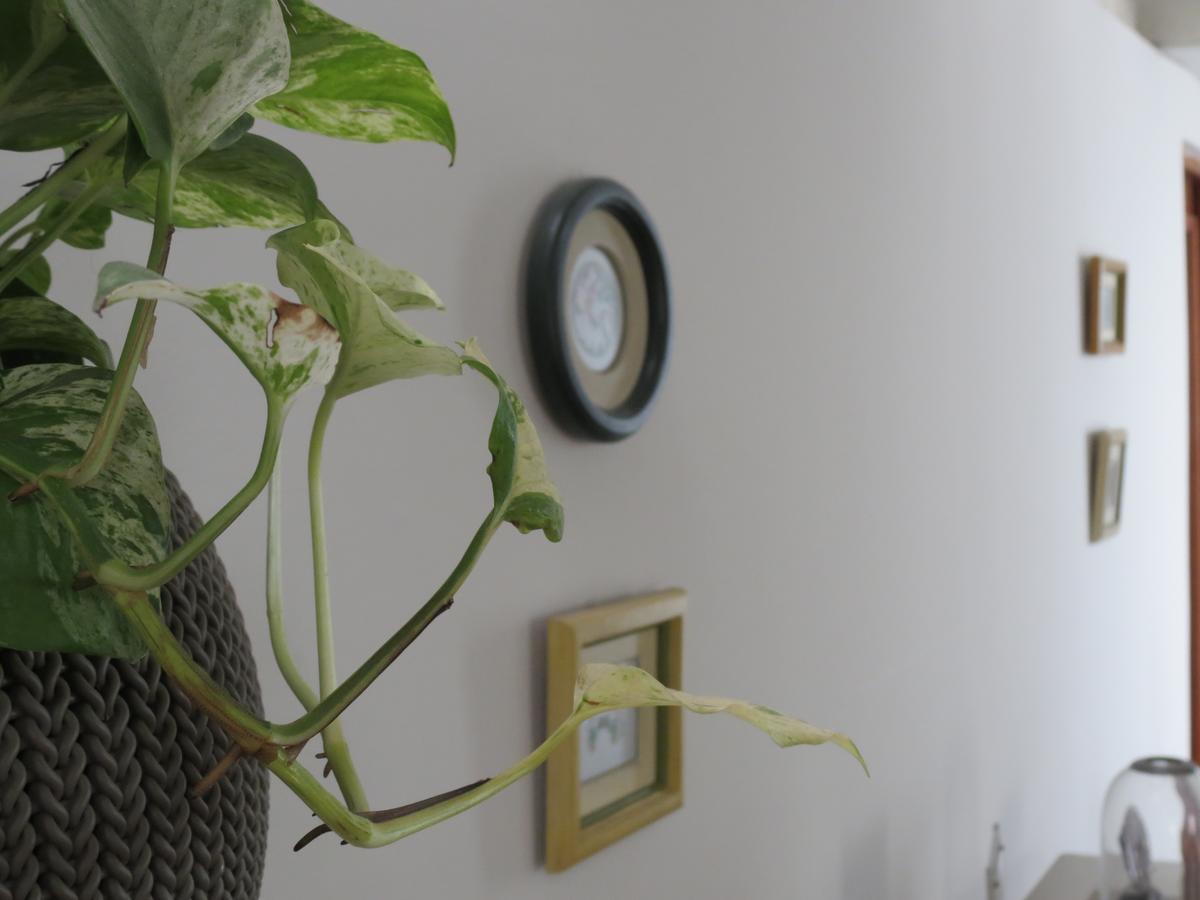 Miraflores Inn Lima Dış mekan fotoğraf